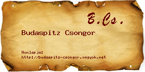 Budaspitz Csongor névjegykártya
